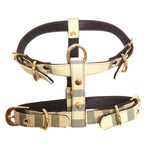 Fashion Dog Harness And Leash Set