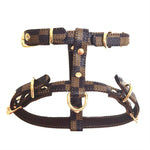 Fashion Dog Harness And Leash Set