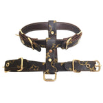 Fashion Dog Harness And Leash Set