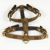 Fashion Dog Harness And Leash Set