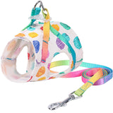 Rainbow Pet Harness Leash Set