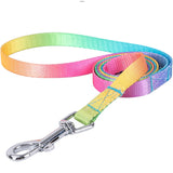 Rainbow Pet Harness Leash Set