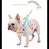 Rainbow Pet Harness Leash Set