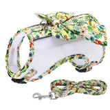 Printed Nylon Dog Harness And Leash Set Breathable Mesh