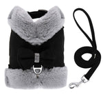 Small Dog  Cat Harness Leash Set Warm Winter Vest