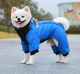 Buy Water-resistant Dog Coat With Harness