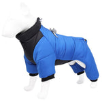 Buy Water-resistant Dog Coat With Harness