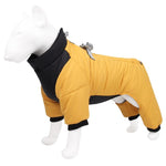 Buy Water-resistant Dog Coat With Harness