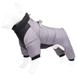 Buy Water-resistant Dog Coat With Harness