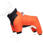 Buy Water-resistant Dog Coat With Harness