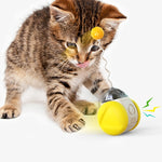 Interactive Cat Toys For Self-entertainment Pet Sounding Toys