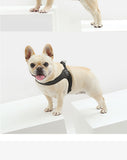 Stunt Puppy Dog Harness