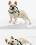 Stunt Puppy Dog Harness