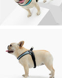 Stunt Puppy Dog Harness