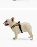 Stunt Puppy Dog Harness