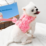 Dog Breathable Mesh Harness set