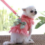 Dog dress Harness Leash set