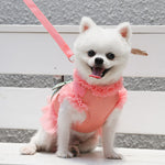 Dog dress Harness Leash set