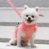 Dog dress Harness Leash set