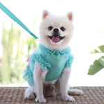 Dog dress Harness Leash set