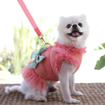 Dog dress Harness Leash set