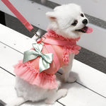 Dog dress Harness Leash set