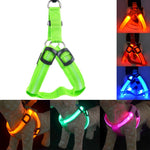 Rechargeable LED Nylon Pet Dog Cat Harness