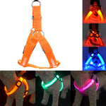 Rechargeable LED Nylon Pet Dog Cat Harness